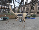 Dinos in Florence (Met)