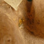 Gold traces