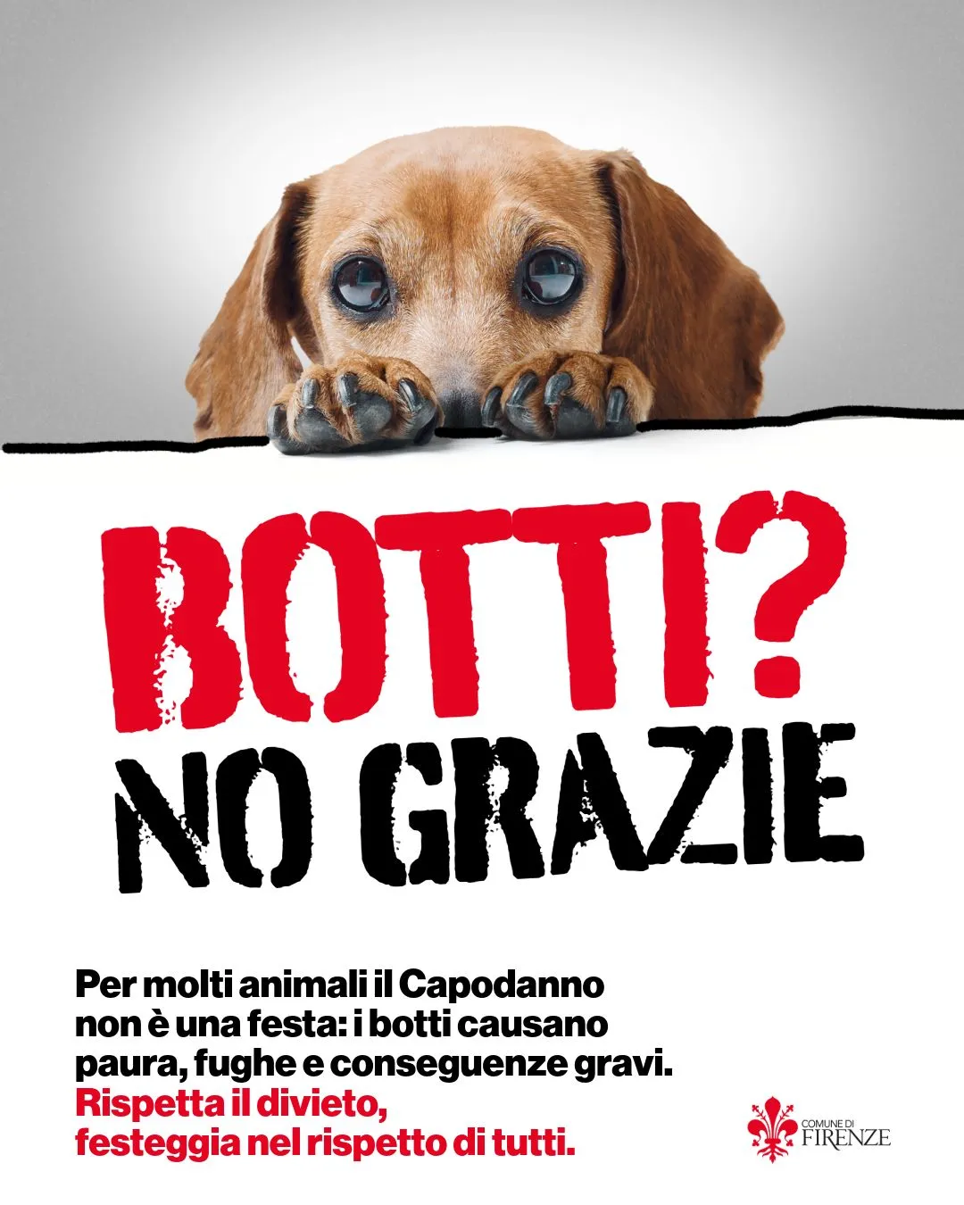 Floransa, yılbaşı gecesi için havai fişekleri yasakladı, tarihi merkezde cam parmaklıklar var