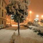 Snow, weather alert in Florence