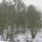 Snow