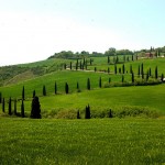 Toscana