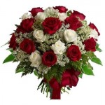 The roses