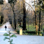 Cascine park (PB)