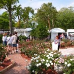 Autumn art Festival