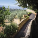 Hiking on the Fiesole hill