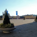 New planters in piazza Ognissanti