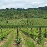 Chianti Rufina