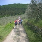 The Renaissance Ring