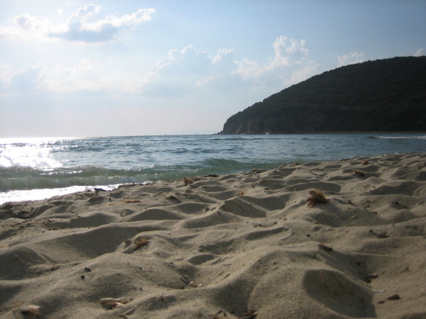 Cala violina, Tuscany