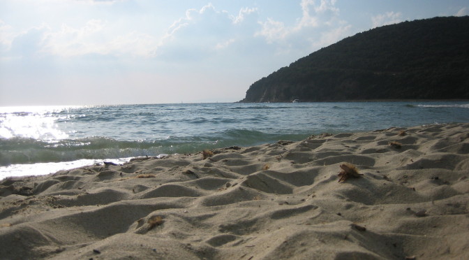 Cala violina, Tuscany