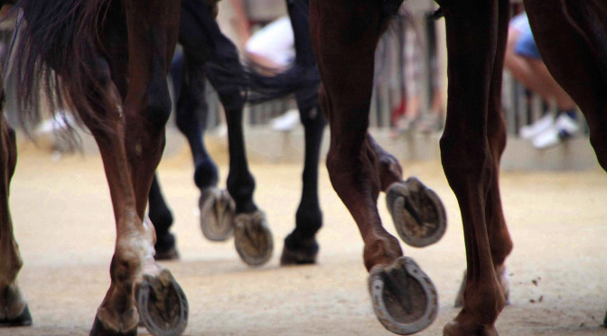 Siena's Palio