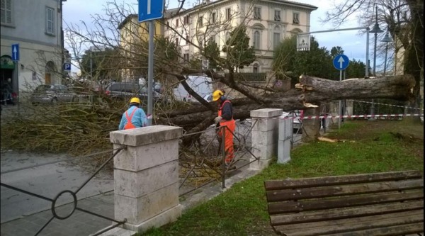 Strong wind in Tuscany