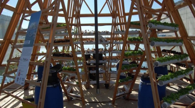 The Jellyfish project for Expo2015