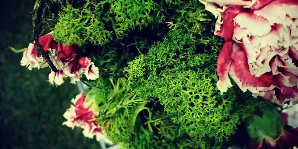 FloraFirenze at the Cascine Park