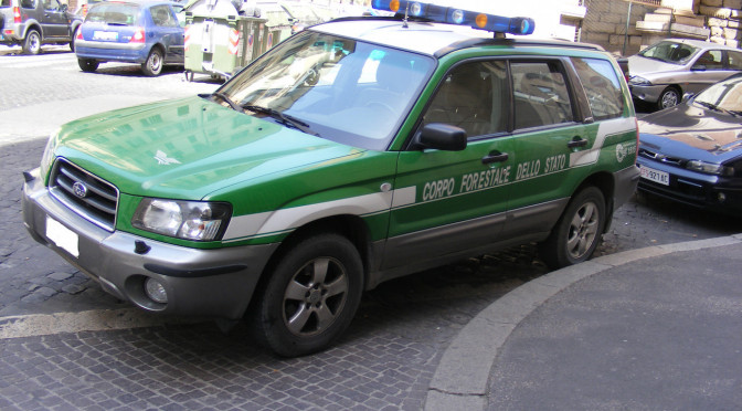 20,000 bottles fake wine, grappa seized by Corpo Forestale dello Stato