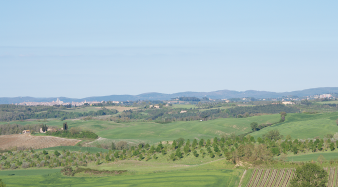 The view from Il Convito di curina