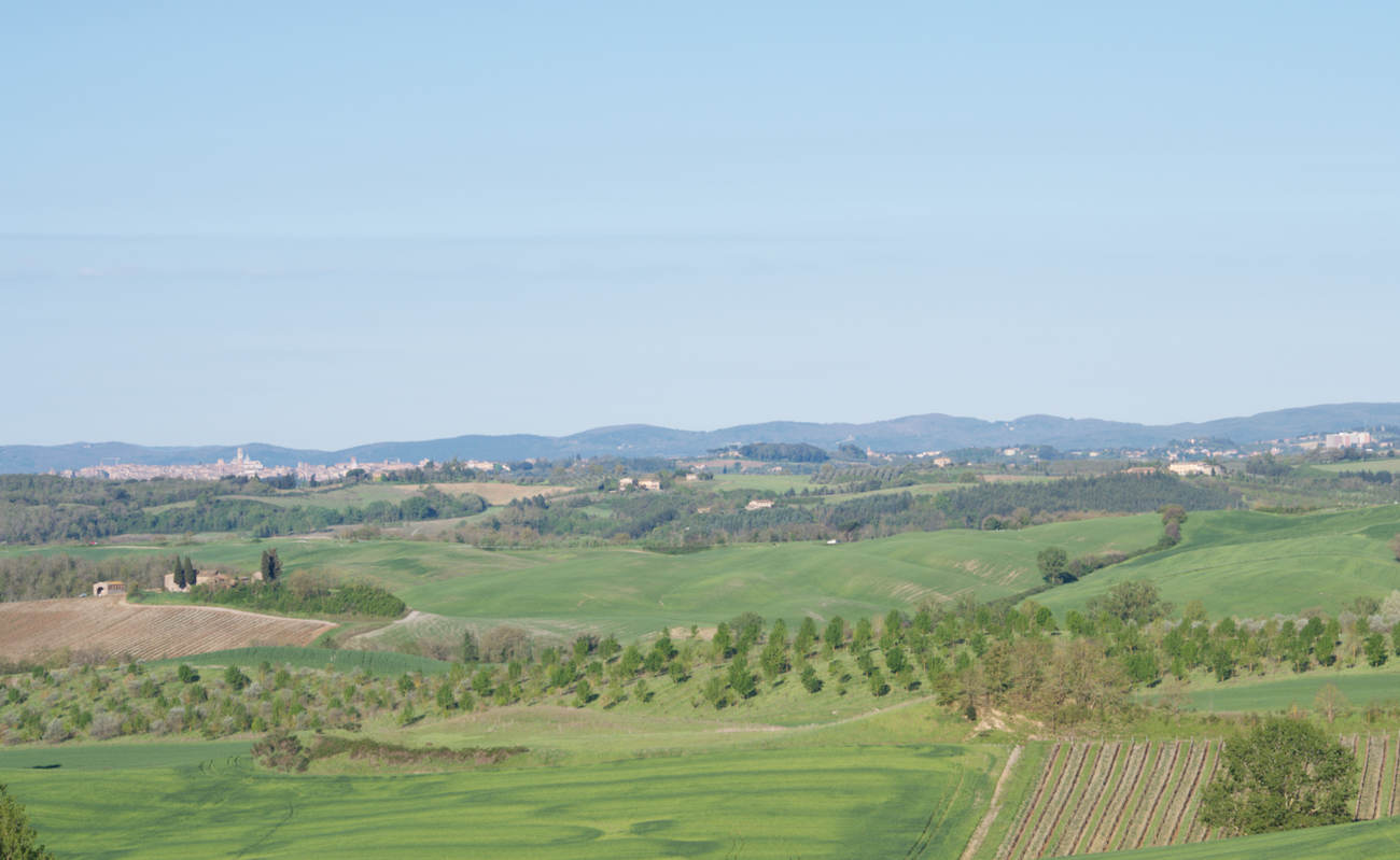 The view from Il Convito di curina