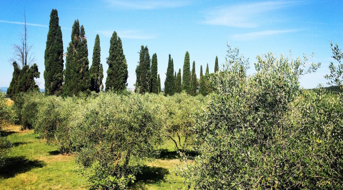 Tuscan landscape (photo: Chiara Amadei)
