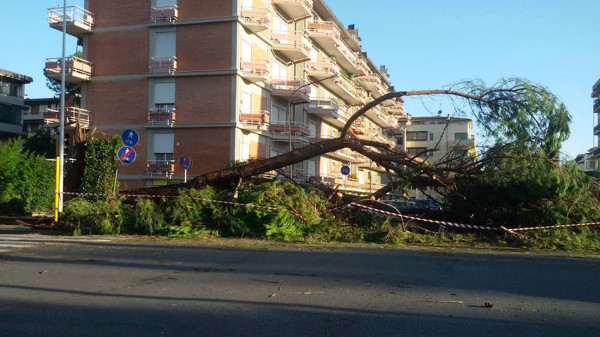 Tuscany declares state of emergency after Florence storm