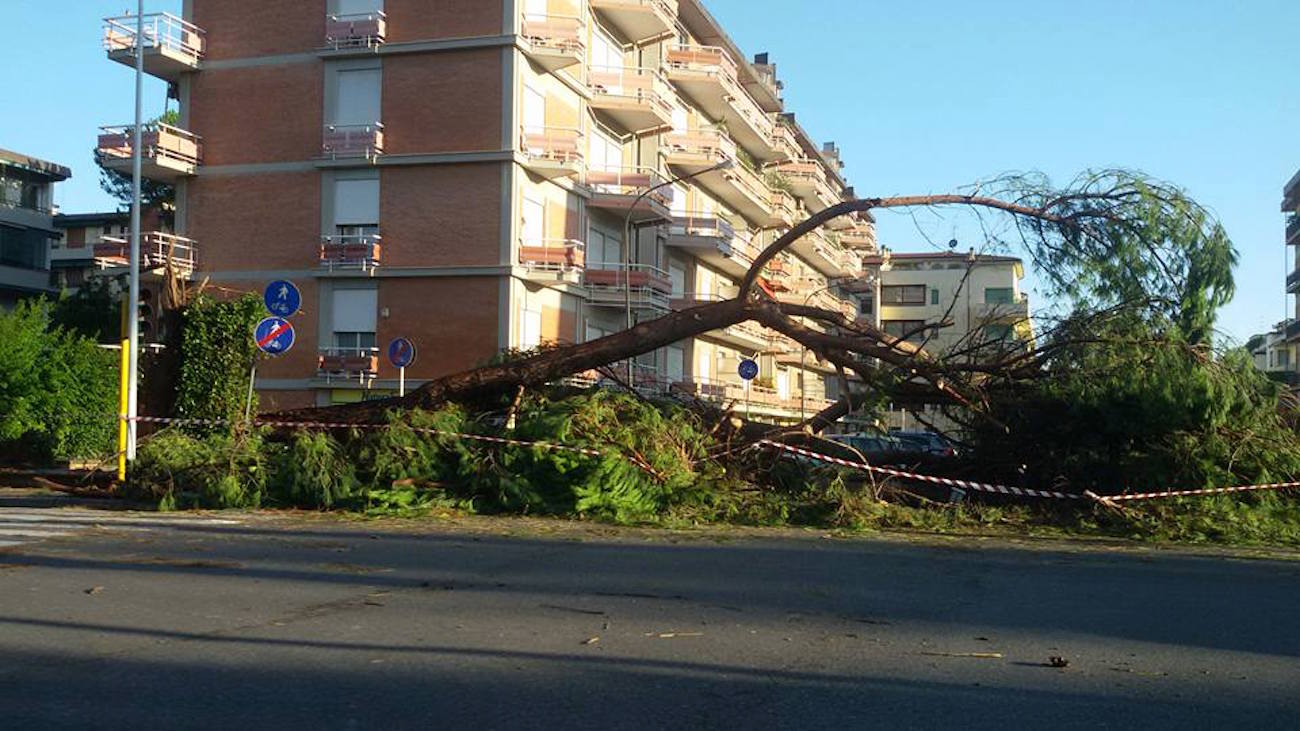 Tuscany declares state of emergency after Florence storm