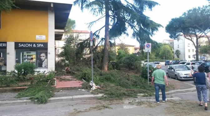 Viale Europa after the Saturday storm