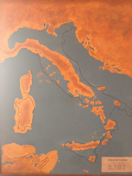 The global cooling that occurred during the Pliocene may have spurred on the disappearance of forests and the spread of grasslands and savannas