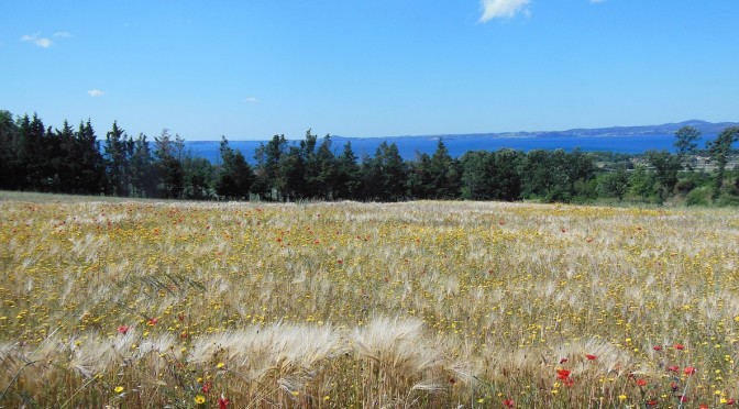 IV Edition European walking-only Marathon on Via Francigena from Acquapendente to Montefiascone