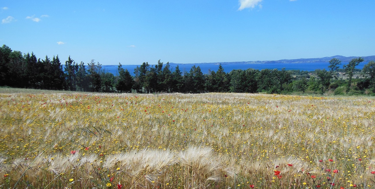 IV Edition European walking-only Marathon on Via Francigena from Acquapendente to Montefiascone
