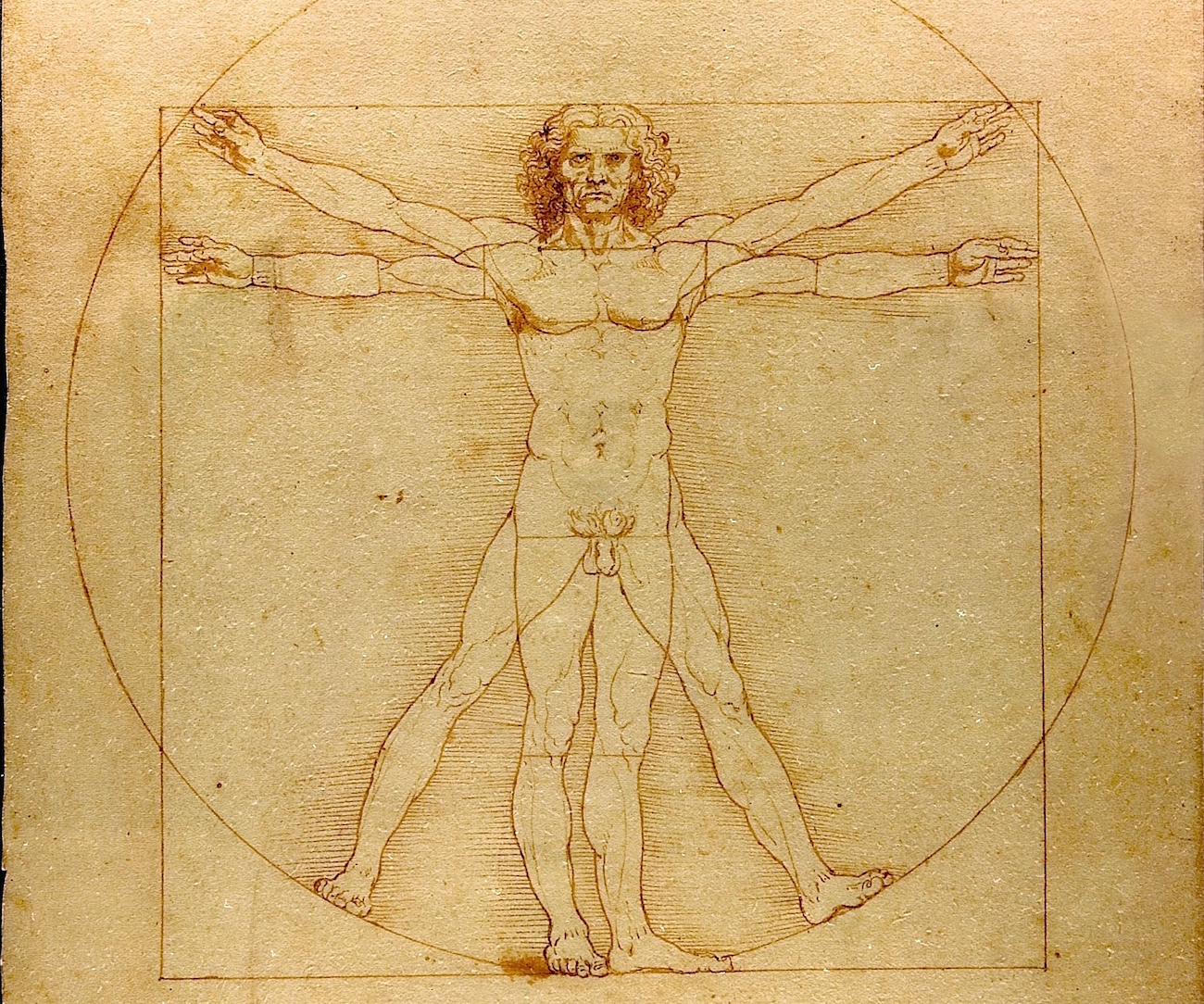 Da Vinci's Vitruvian Man