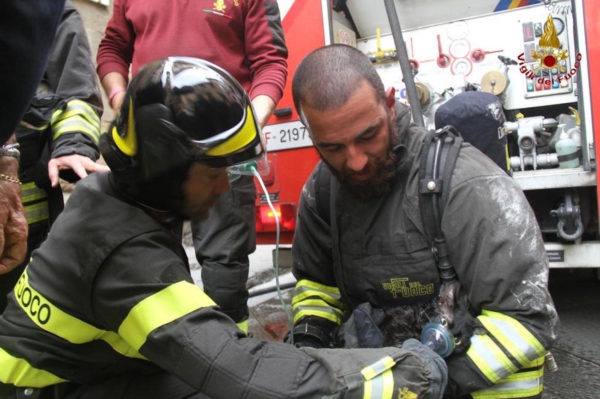 Firefighters revive cat after rescue in Florence, Italy