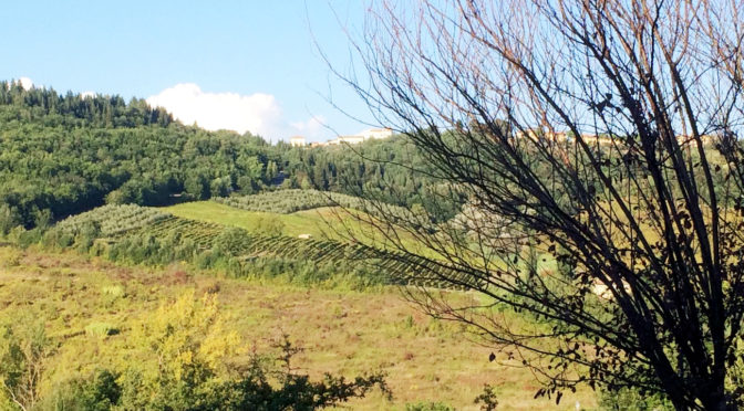 Panorama di Montespertoli dalla colonica in vendita