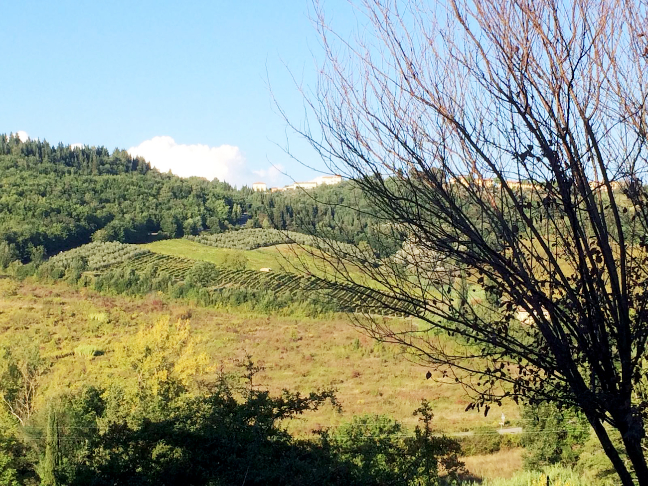 Panorama di Montespertoli dalla colonica in vendita