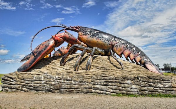 Lobster rules changes in Italy