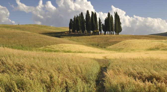 New website, Visittuscany, offers a sweeping view of Tuscany
