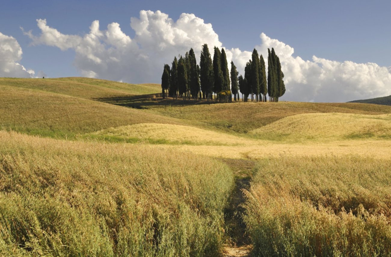 New website, Visittuscany, offers a sweeping view of Tuscany