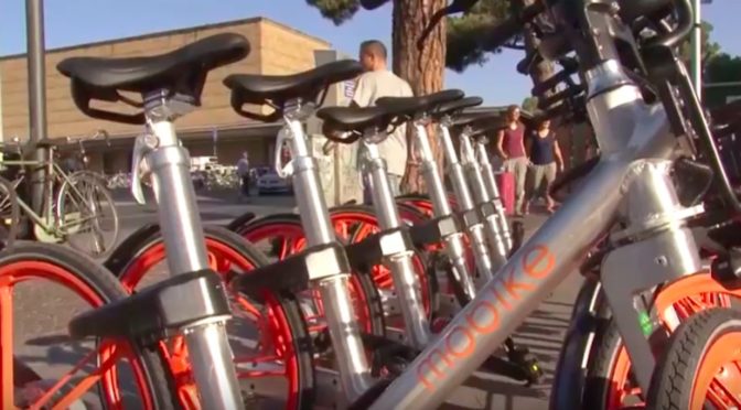 The bike sharing service in Florence