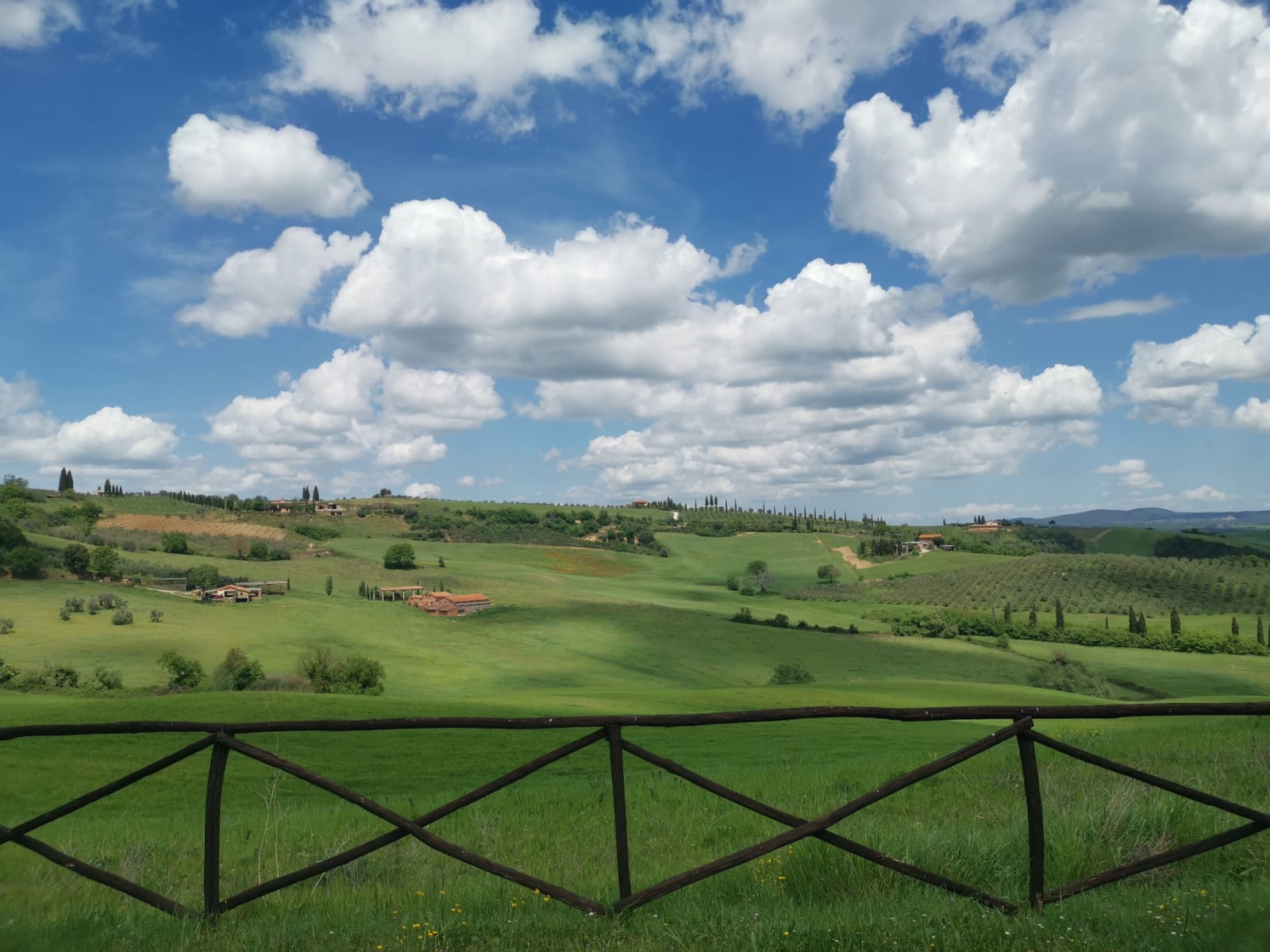 Tuscany landscape by Carla Grotteschi. Send us your photo for the pic of the week