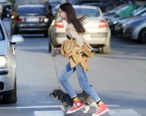 New Road Code in Italy