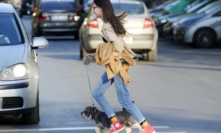 New Road Code in Italy