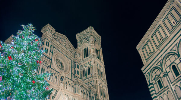 The Christmas tree in piazza Duomo, Florence