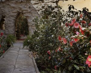 Extraordinary Opening of the Camellia Garden at Boboli Gardens