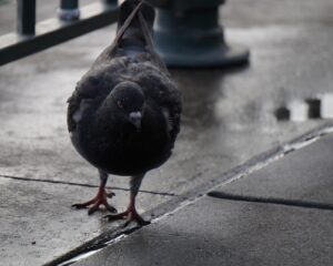 Orange weather alert extended in northern Tuscany until Sunday at 2 PM.