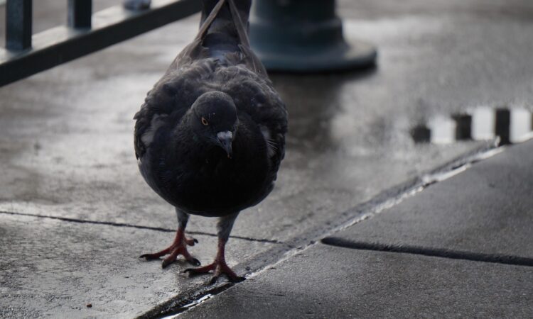 Orange weather alert extended in northern Tuscany until Sunday at 2 PM.