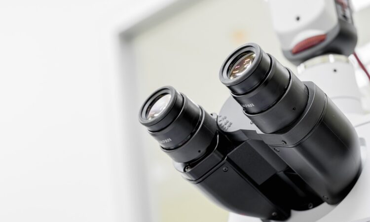 European Infrastructure for Technology in Service of Art