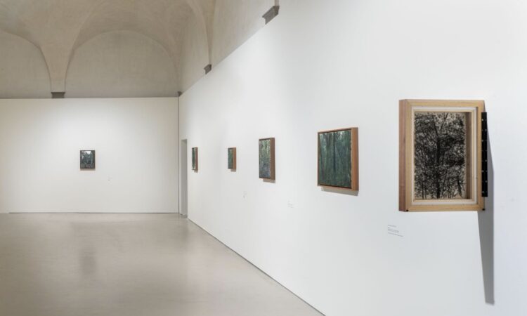 Haley Mellin, Siamo Natura Installation Views (2025), Courtesy of the artist and Museo Novecento
