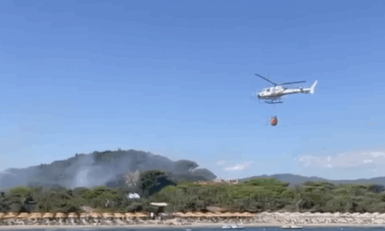 Fire spreads through pine forest near Castiglione della Pescaia, gas canisters explode