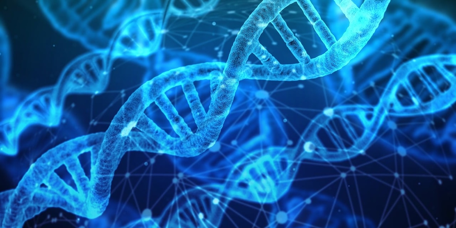 Floransa'da bir aile özelliği aramak: tuhaf genetik müdahaleye
