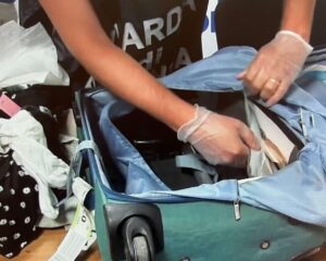 €800,000 Undeclared Cash Seized at Florence Airport