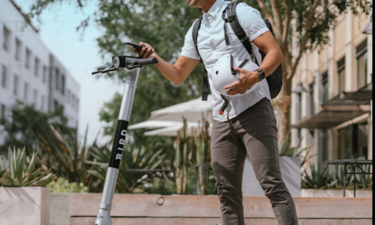 Bird challenges Florence e-scooter ban in court
